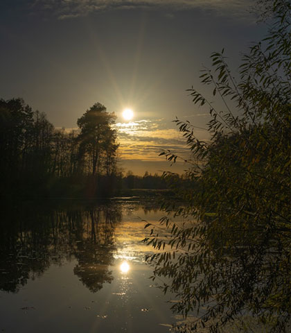 seite angebot 2 foto: unsplash german krupenin