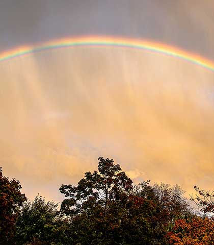 einzigartig regenbogen